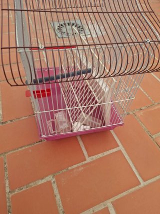 Jaula para pájaros rosa y blanca