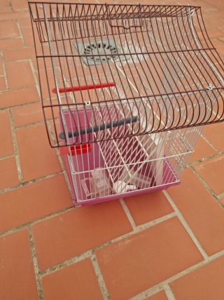 Jaula para pájaros rosa y blanca
