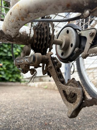 Triciclo Monty con cesta grande