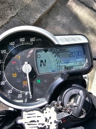 Triumph Speed 400cc Negra/Dorada 2026