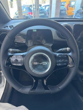 BYD Dolphin 2024