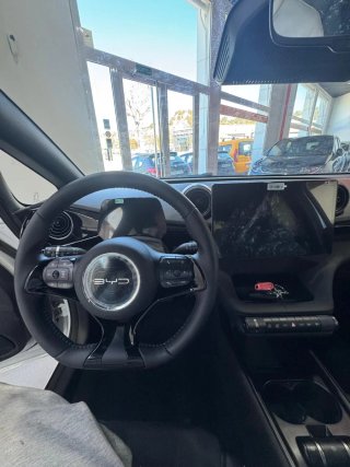 BYD Dolphin 2024