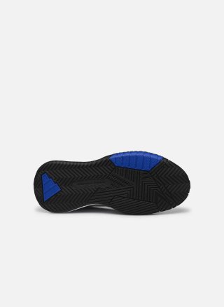 Zapatillas Baloncesto Adidas Blancas y Azules