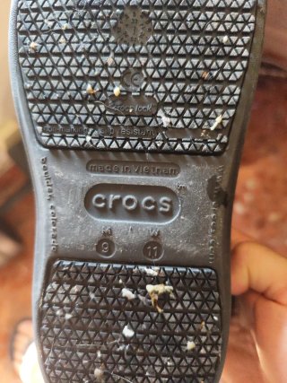 Crocs grises