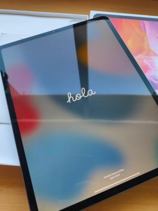 iPad Pro 12.9 256GB 4ª Gen WiFi + Apple pencil