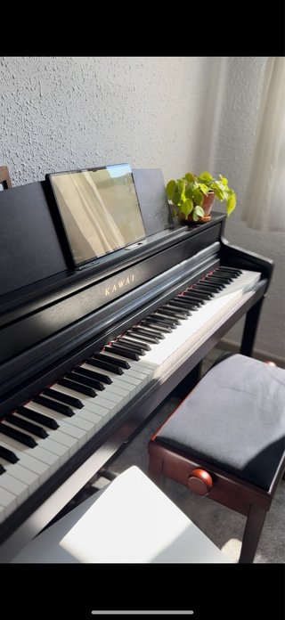 Clases de Piano Valencia | Timoteo Suidini