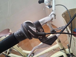 Bicicleta paseo vintage con cesta