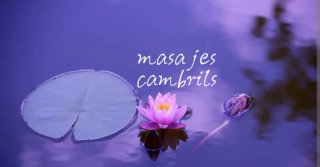 Masaje terapéutico