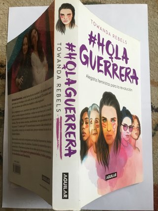 Hola Guerrera: Alegatos feministas para la revo...