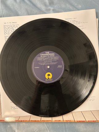 Vinilo The Cranberries No Need to Argue