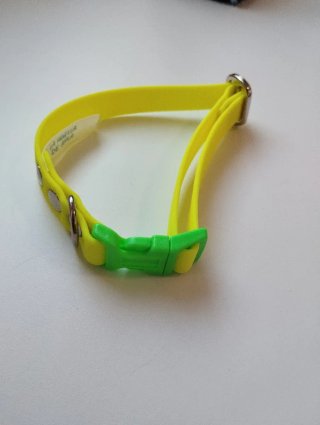 Collar Biothane 16mm Amarillo