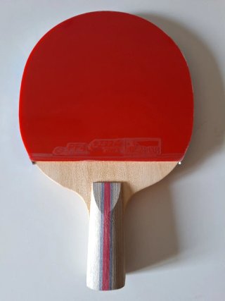 Raqueta pala de tenis de mesa DHS 3006 Penhold