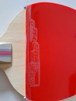 Raqueta pala de tenis de mesa DHS 3006 Penhold