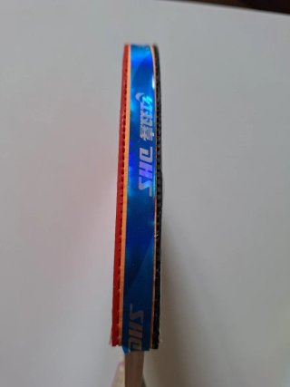 Raqueta pala de tenis de mesa DHS 3006 Penhold