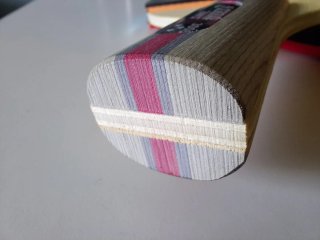 Raqueta pala de tenis de mesa DHS 3006 Penhold