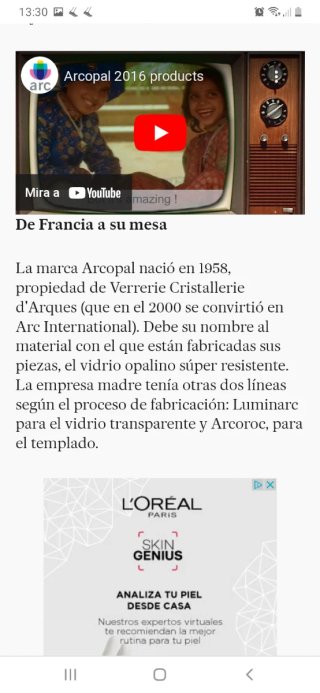 Set de 10 Platos Arcopal Vintage modelo Rosas