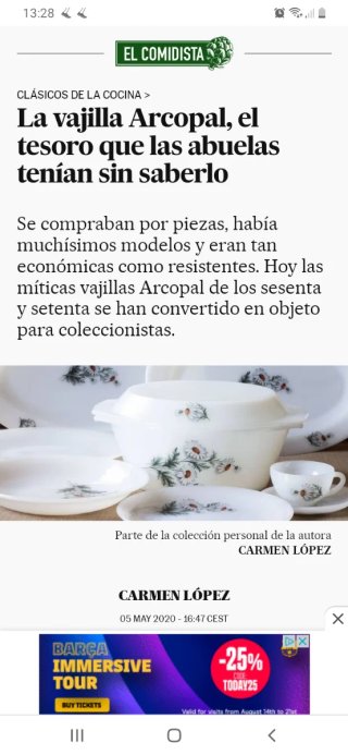 Set de 10 Platos Arcopal Vintage modelo Rosas