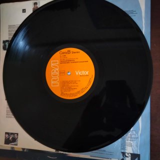 LP 1987 SYNTH The Blow Monkeys She Was Only Vinilo