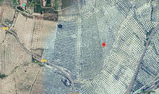 Finca de Olivos Las Quebradas en Begíjar