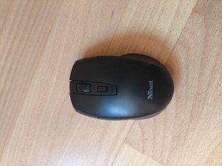Teclado y ratón Trust Negro