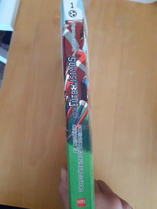 Los Futbolísimos 1: El misterio de los árbitros...