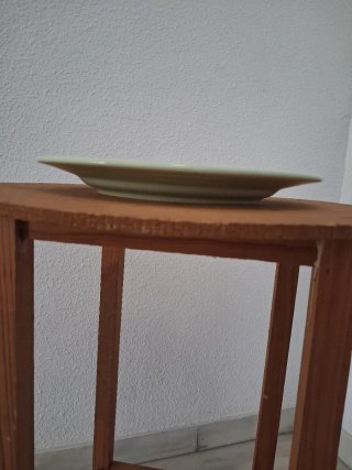 10 Piatti Piatti in Porcellana 30cm per Ristorazione