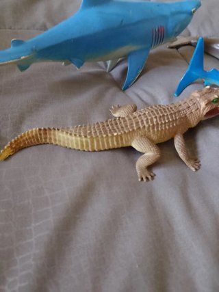 Set 4 Animali Mare e Fiume