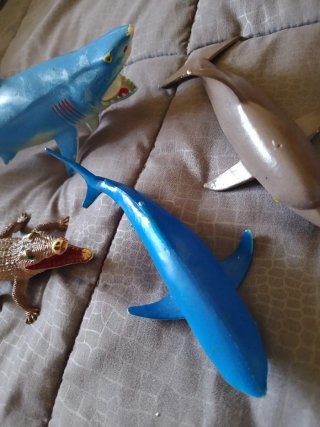 Set 4 Animali Mare e Fiume