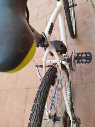 Bicicleta blanca