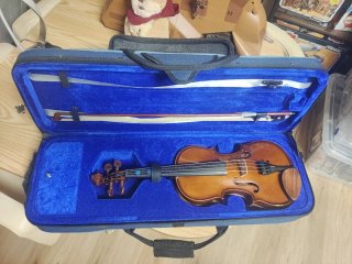 Viola Stentor Student I con funda y arco