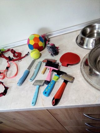 Accesorios para mascotas: collares, correas y jugu