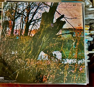 Vinilo The Doors - The Doors y Morrison hotel