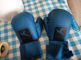 Protección Artes Marciales Azul