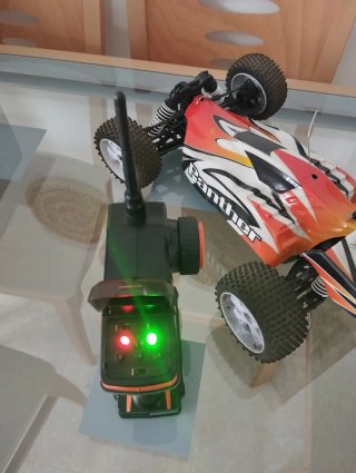 Coche RC Panther Buggy 1/9 4WD Eléctrico