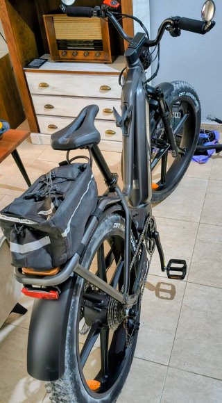 Bicicleta Eléctrica Fiido Titan
