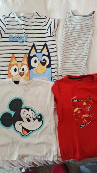 Lote 4 camisetas niño T4