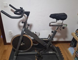 Bicicleta de Spinning Gris