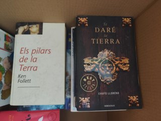 Lote de libros