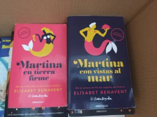 Lote de libros