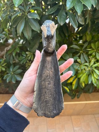 Statuetta pavone pesante in metallo