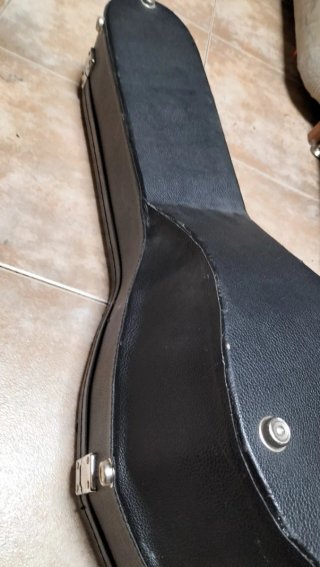 Mandolina Alfredo Albertini con funda