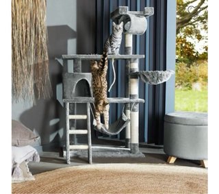 CASA para gato MARCEL