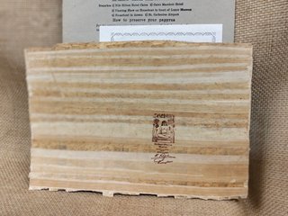 Papiro Egipcio Antiguo