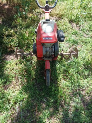 Motoazada Kubota TP25