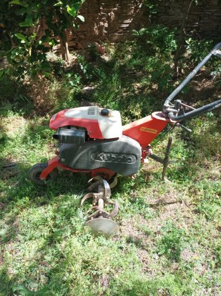 Motoazada Kubota TP25