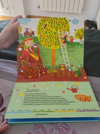 Libro indantil