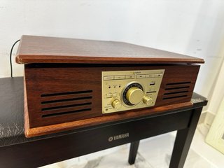 Tocadiscos Suntech PXR32 Marrón/Dorado