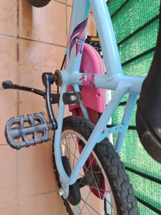 Bicicleta infantil azul y rosa