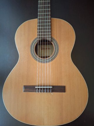 Guitarra Alhambra Z-Nature + Funda