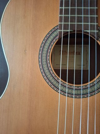 Guitarra Alhambra Z-Nature + Funda